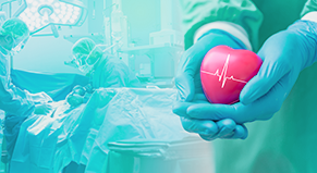 atendimento humanizado